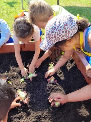 Der kath. Sprachkindergarten „Rappelkiste“ aus Tüddern  freut sich über ein neues Gemüsebeet