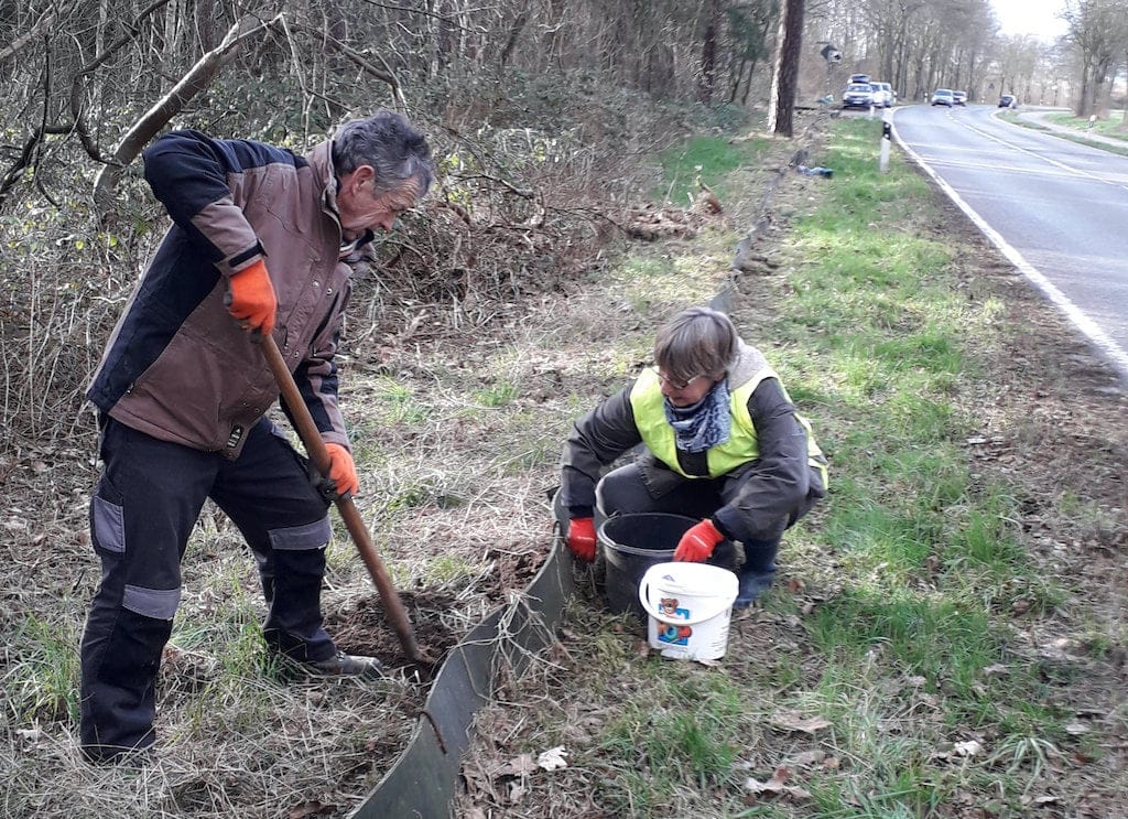 Instandsetzung des Krötenzaunes an der K1 in Tüddern