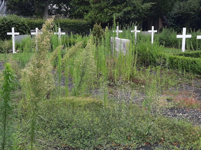 .. ein Besuch auf dem Friedhof