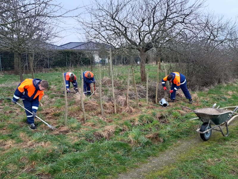 Nabu pflegt Obstwiese