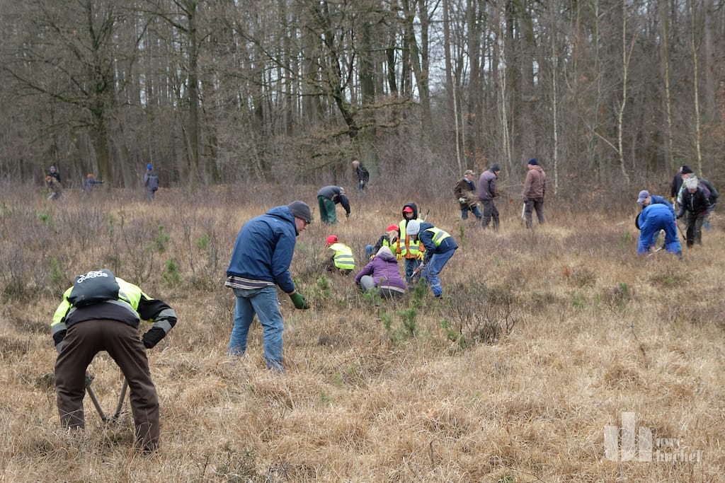 9.internationaler Naturwerktag