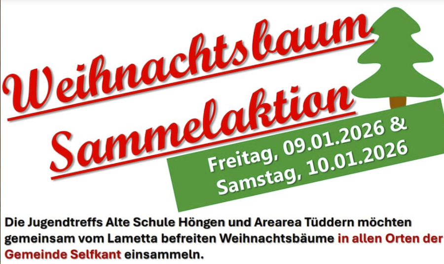 Wir entsorgen Ihren Weihnachtsbaum