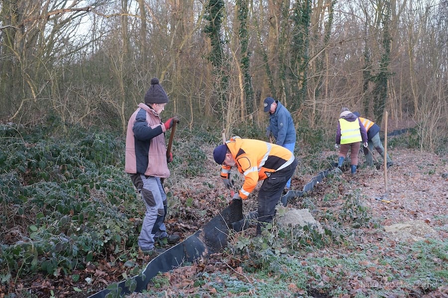 Krötenzaun aufgestellt