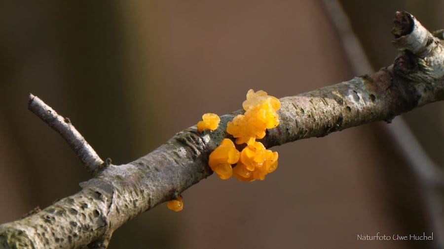 So lösen wir alle Finanzprobleme !