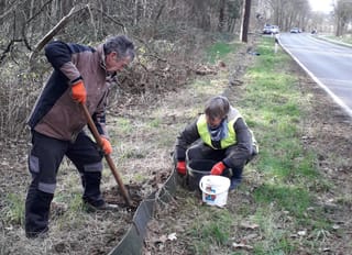 Instandsetzung des Krötenzaunes an der K1 in Tüddern