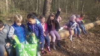 Süsterseeler Waldtag