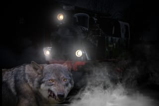 Halloweenfahrten am 26. und 27. Oktober