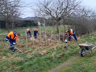 Nabu pflegt Obstwiese