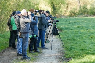 Vogelwanderung des Nabu