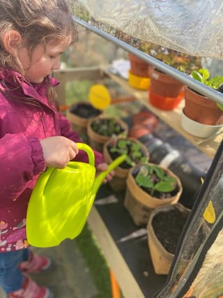 Kinder züchten ihr Gemüse selber