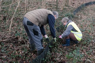Achtung Krötenwanderung !