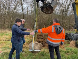 Baumpflanzaktion in Höngen