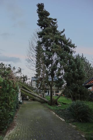 Sturm Zeynep sorgt für zahlreiche Einsätze im Kreis Heinsberg (Update)