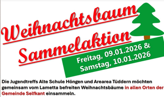 Wir entsorgen Ihren Weihnachtsbaum