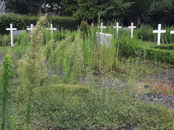 .. ein Besuch auf dem Friedhof