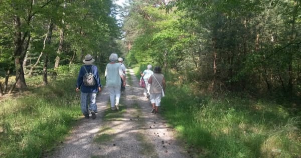 Ausbildung zur ehrenamtlichen Hospizbegleiterin oder zum Hospizbegleiterin