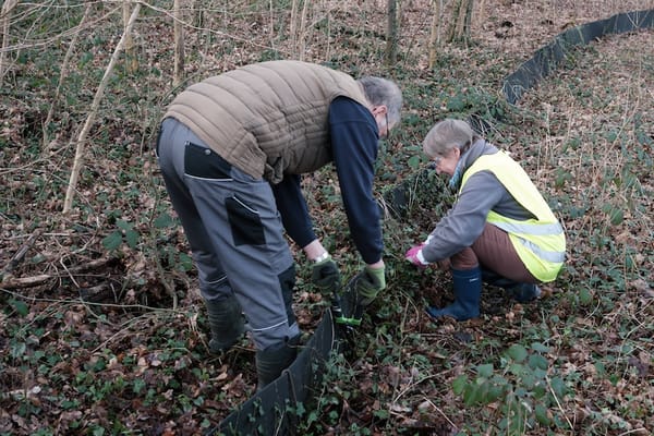 Achtung Krötenwanderung !