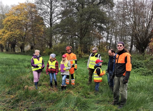 Kopfweidenpflege zusammen mit der Nabujugend