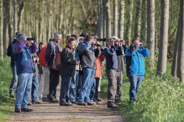 Vogelkundliche Wanderung des NABU-Selfkant am 01. Mai 2023