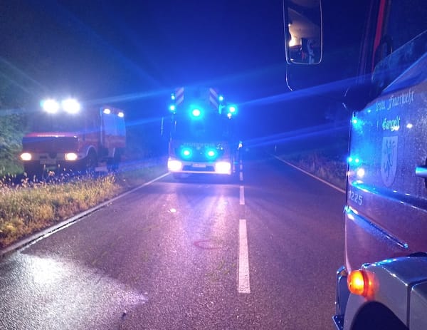 Tödlicher Verkehrsunfall auf Kreisstraße 5 - Zeugen gesucht