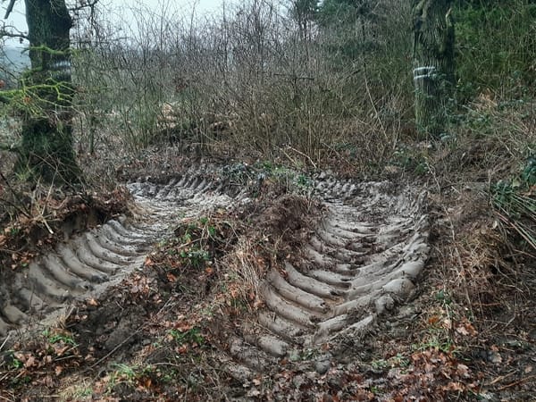 Bitte das Bodendenkmal nicht weiter beschädigen!