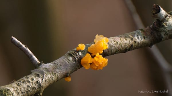 So lösen wir alle Finanzprobleme !