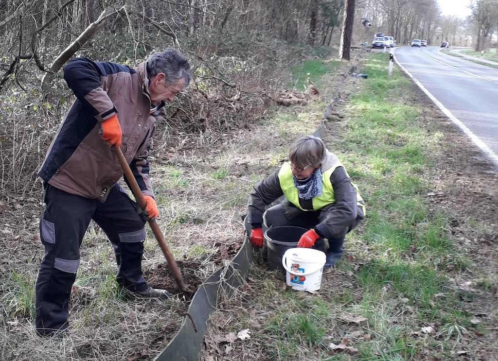 Instandsetzung des Krötenzaunes an der K1 in Tüddern