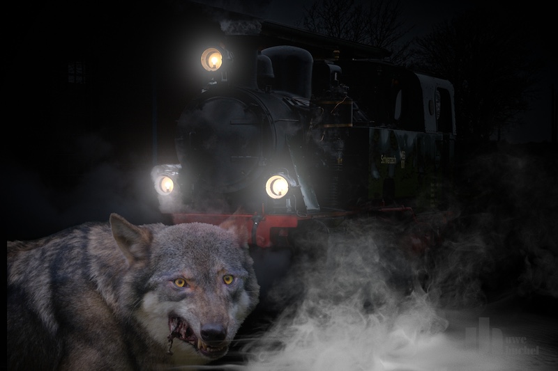 Halloweenfahrten am 26. und 27. Oktober