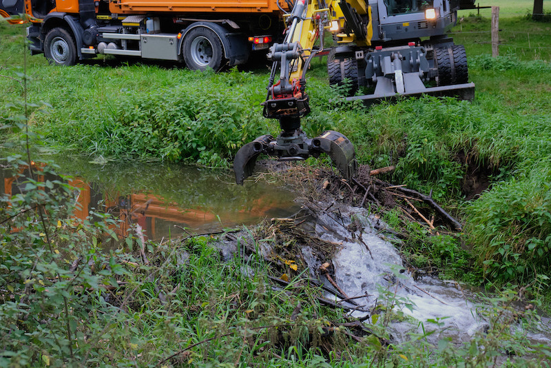 Bibermanagement im Selfkant (2)