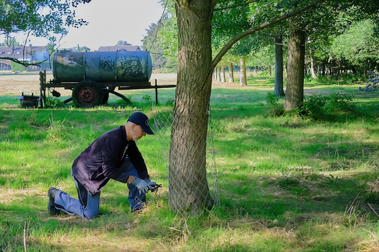 Bibermanagement im Selfkant