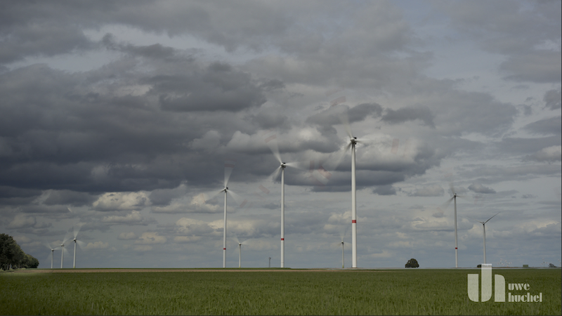 Windkraft siegt über Artenschutz