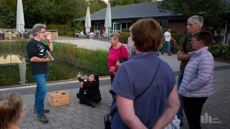 Fledermäuse beobachten