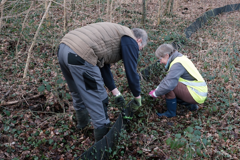 Achtung Krötenwanderung !
