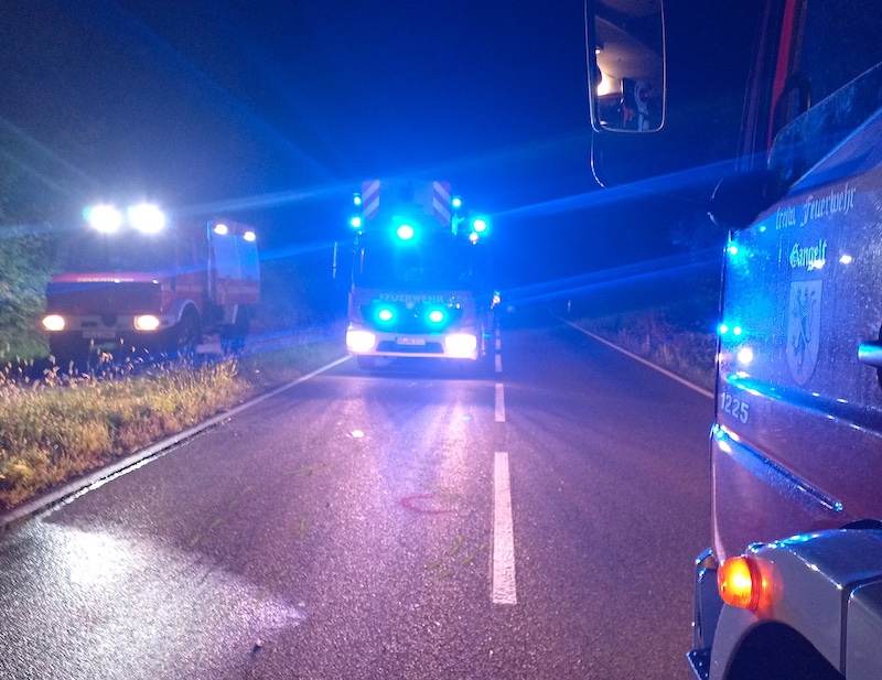 Tödlicher Verkehrsunfall auf Kreisstraße 5 - Zeugen gesucht