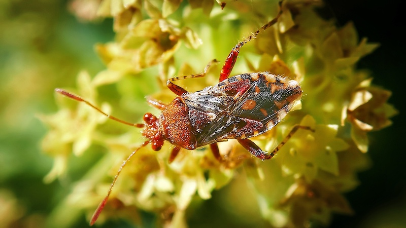 Wo sind sie geblieben?