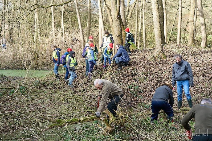 Traditioneller Naturwerktag wieder gut besucht